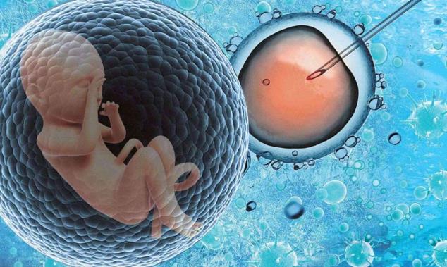 试管助孕健康的胚胎多少钱